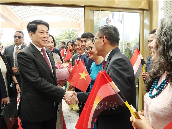 Kiều bào đón Chủ tịch nước Lương Cường và Phu nhân tại Thủ đô Cairo, Ai Cập. Ảnh: Lâm Khánh – TTXVN