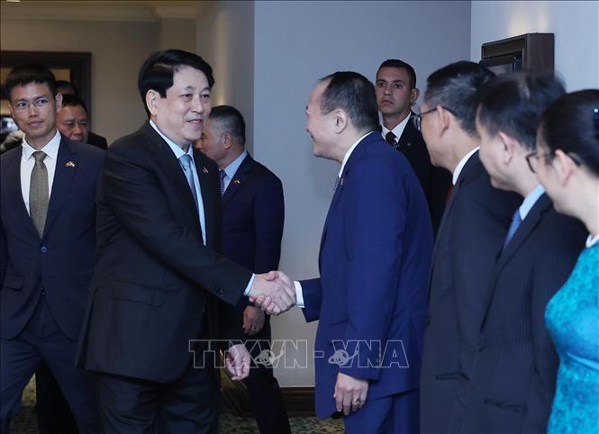 Chủ tịch nước Lương Cường với các Đại sứ Việt Nam tại khu vực châu Phi. Ảnh: Lâm Khánh - TTXVN 