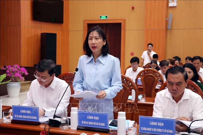Đại diện lãnh đạo Sở Nội vụ Thành phố Hồ Chí Minh phát biểu tại buổi làm việc. Ảnh: Đoàn Mạnh Dương-TTXVN