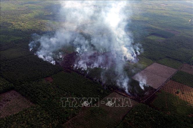 Khói bốc lên từ đám cháy rừng và đất tại South Sumatra, Indonesia ngày 30/7/2025. Ảnh: THX/TTXVN