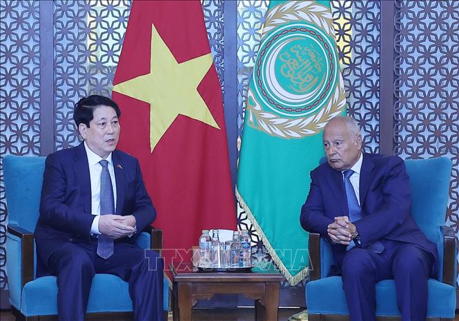 Chủ tịch nước Lương Cường gặp Tổng Thư ký Liên đoàn Arab Ahmed Aboul Gheit. Ảnh: Lâm Khánh – TTXVN