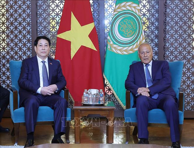 Chủ tịch nước Lương Cường gặp Tổng Thư ký Liên đoàn Arab Ahmed Aboul Gheit. Ảnh: Lâm Khánh – TTXVN