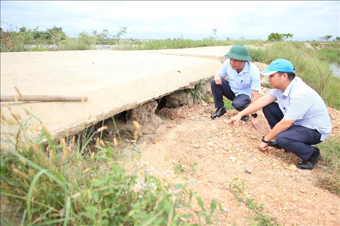 Sạt lở, xói mòn nghiêm trọng trên tuyến đê bao bảo vệ vùng trồng lúa trọng điểm phía Nam tỉnh Quảng Trị. Ảnh: Thanh Thuỷ-TTXVN