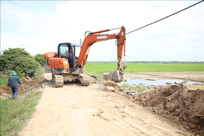 Máy móc được huy động để sửa chữa tạm thời các điểm sạt lở, hư hỏng tại tuyến đê bao. Ảnh: Thanh Thuỷ-TTXVN