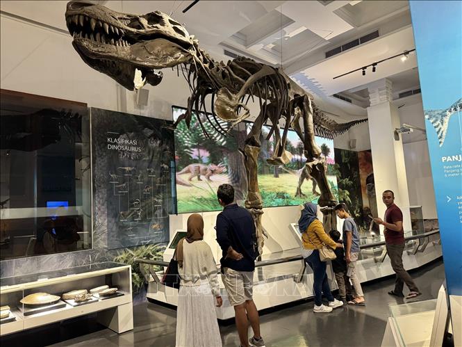 Mô hình bộ xương khủng long Tyrannosaurus Rex dài hơn 14 mét, cao gần 7 mét, bản sao chính xác từ mẫu hóa thạch được tìm thấy ở Bắc Mỹ. Ảnh: TTXVN phát