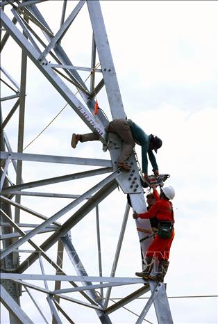 Trên công trường Dự án đường dây 500kV Lào Cai - Vĩnh Yên đoạn đi qua tỉnh Phú Thọ, ở vị trí cột số 352, xã Vũ Ninh. Ảnh: Vũ Sinh - TTXVN