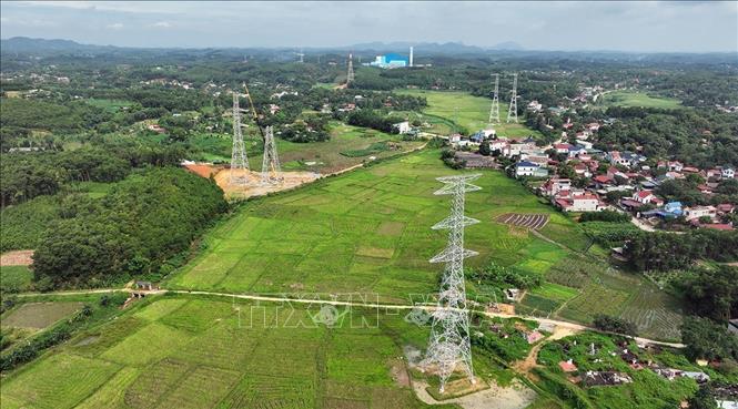 Thi công lắp đặt các cột điện số 353, 354, 555... thuộc địa bàn xã Vũ Ninh, tỉnh Phú Thọ. Ảnh: Vũ Sinh - TTXVN