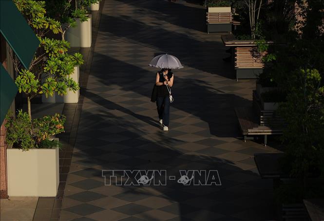 Người dân che ô tránh nắng nóng trên đường phố tại Tokyo, Nhật Bản. Ảnh: THX/TTXVN