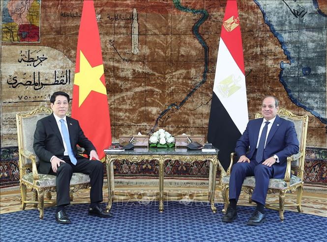 Chủ tịch nước Lương Cường và Tổng thống Ai Cập Abdel Fattah El-Sisi hội đàm hẹp. Ảnh: Lâm Khánh - TTXVN