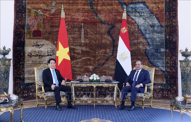 Chủ tịch nước Lương Cường và Tổng thống Ai Cập Abdel Fattah El-Sisi hội đàm hẹp. Ảnh: Lâm Khánh - TTXVN