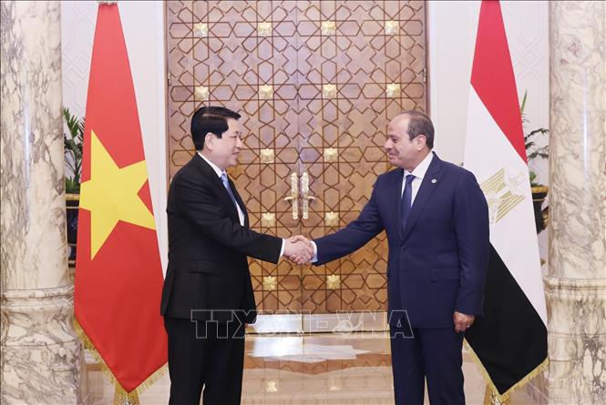 Chủ tịch nước Lương Cường và Tổng thống Ai Cập Abdel Fattah El-Sisi. Ảnh: Lâm Khánh - TTXVN