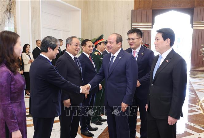 Chủ tịch nước Lương Cường giới thiệu thành viên đoàn Việt Nam với Tổng thống Ai Cập Abdel Fattah El-Sisi. Ảnh: Lâm Khánh - TTXVN