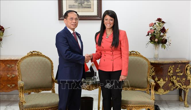 Phó Thủ tướng, Bộ trưởng Ngoại giao Bùi Thanh Sơn hội kiến Bộ trưởng Kế hoạch, Phát triển Kinh tế và Hợp tác Quốc tế Ai Cập Rania A. Al-Mashat. Ảnh: TTXVN phát