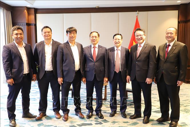 Phó Thủ tướng Bùi Thanh Sơn tiếp lãnh đạo Công ty Cổ phần Nhựa châu Âu, doanh nghiệp Việt Nam đang đầu tư kinh doanh tại Ai Cập. Ảnh: Nguyễn Trường - PV TTXVN tại Ai Cập
