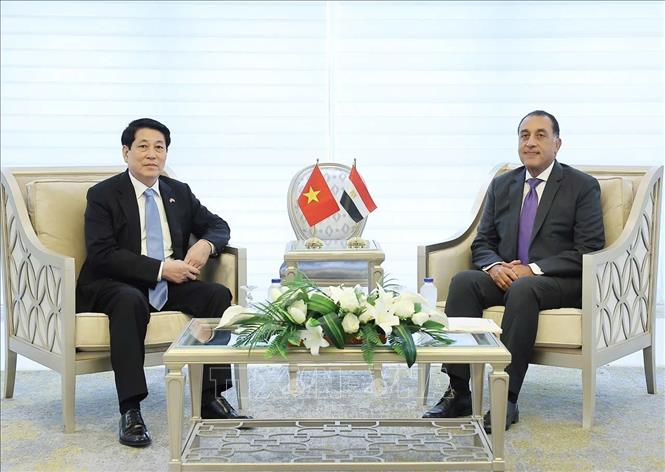 Chủ tịch nước Lương Cường hội kiến Thủ tướng Ai Cập Mostafa Madbouly. Ảnh: Lâm Khánh - TTXVN