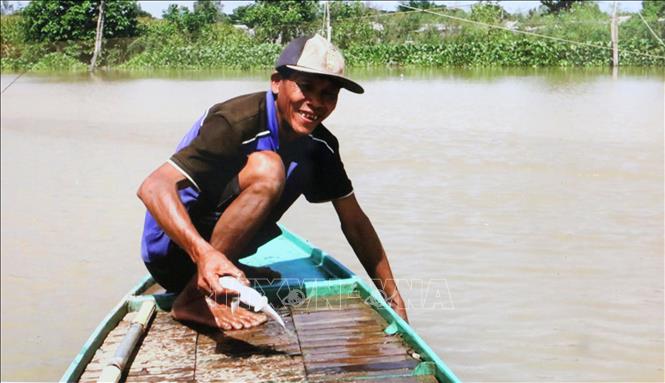 Ông Hồ Văn Thiện (ngụ ấp Phú Lợi, xã Phú Hữu, tỉnh An Giang) đánh bắt thủy sản mùa nước nổi, kiếm thêm thu nhập cho gia đình. Ảnh: Công Mạo-TTXVN