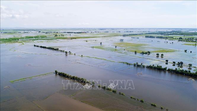 Mùa nước nổi là món quà mà “mẹ thiên nhiên” ban tặng cho người dân Miền châu thổ Cửu Long với biết bao sản vật cá, tôm. Ảnh: Công Mạo-TTXVN