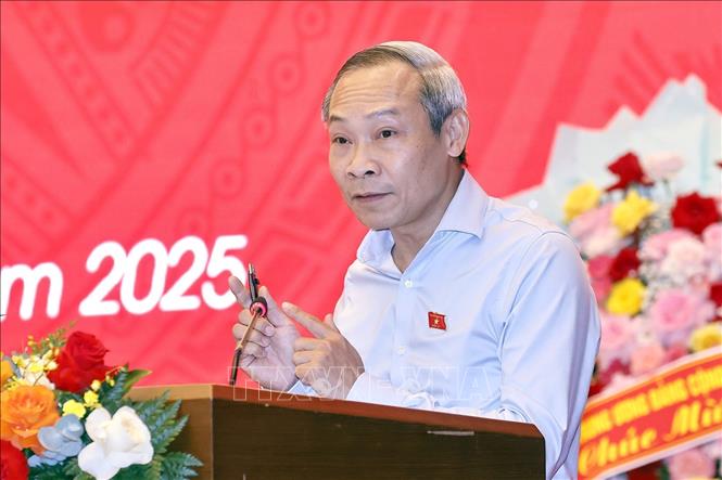 Ông Phan Đức Hiếu, Đại biểu Quốc hội hoạt động chuyên trách của Ủy ban Kinh tế và Tài chính của Quốc hội phát biểu. Ảnh: Doãn Tấn - TTXVN
