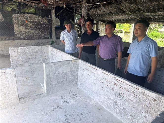 Lãnh đạo Sở Nông nghiệp và Môi trường tỉnh Tuyên Quang kiểm tra công tác vệ sinh chuồng trại của hộ chăn nuôi tại phường Mỹ Lâm. Ảnh: TTXVN phát