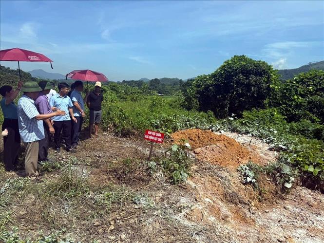 Đoàn công tác của Bộ Nông nghiệp và Môi trường kiểm tra khu vực chôn lấp lợn nhiễm bệnh tại phường Mỹ Lâm (Tuyên Quang). Ảnh: TTXVN phát