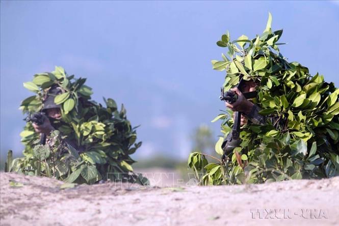 Chiến sĩ CSCĐ thực hiện bài huấn luyên dùng cây cối xung quanh để ngụy trang sao cho giống với lùm cây ngọn cỏ, tránh bị địch phát hiện. Ảnh: Phạm Kiên - TTXVN
