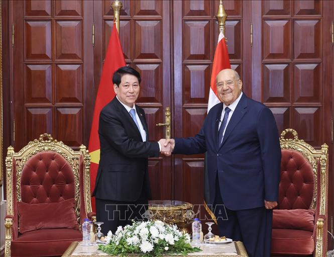 Chủ tịch nước Lương Cường hội kiến Chủ tịch Thượng viện Ai Cập Abdel-Wahab Abdel-Razeq. Ảnh: Lâm Khánh - TTXVN 