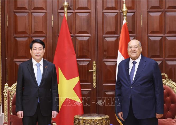 Chủ tịch nước Lương Cường hội kiến Chủ tịch Thượng viện Ai Cập Abdel-Wahab Abdel-Razeq. Ảnh: Lâm Khánh - TTXVN