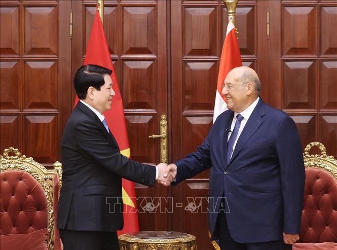 Chủ tịch nước Lương Cường hội kiến Chủ tịch Thượng viện Ai Cập Abdel-Wahab Abdel-RazeqAbdel-Wahab Abdel-Razek. Ảnh: Lâm Khánh - TTXVN 