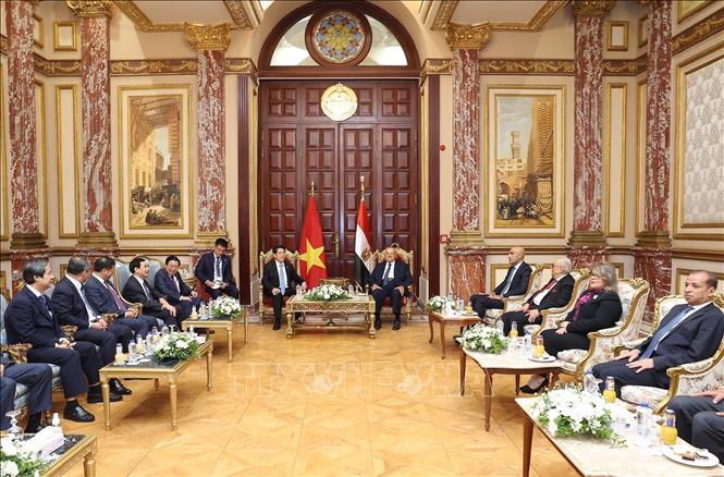 Chủ tịch nước Lương Cường hội kiến Chủ tịch Thượng viện Ai Cập Abdel-Wahab Abdel-Razeq. Ảnh: Lâm Khánh - TTXVN 