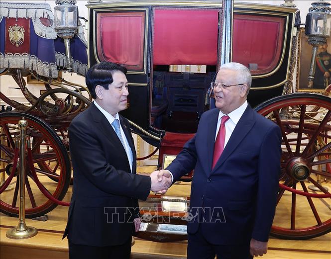 Chủ tịch nước Lương Cường và Chủ tịch Hạ viện Ai Cập Hanafy El-Gebaly tham quan trụ sở Hạ viện Ai Cập. Ảnh: Lâm Khánh – TTXVN
