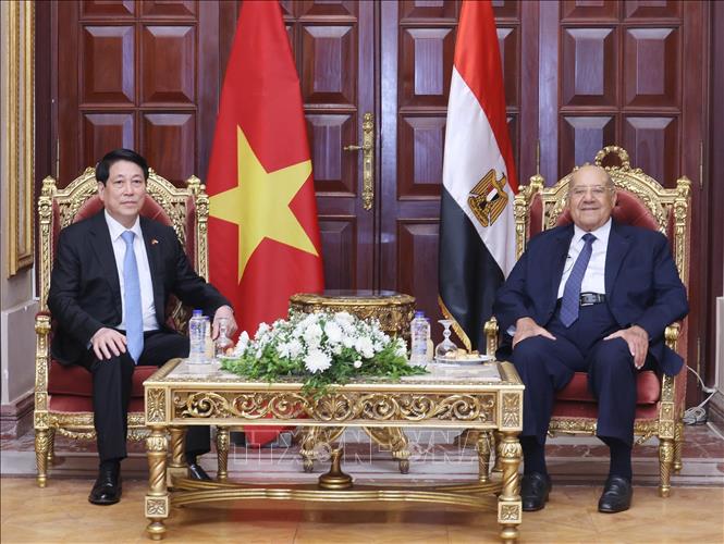 Chủ tịch nước Lương Cường hội kiến Chủ tịch Thượng viện Ai Cập Abdel-Wahab Abdel-Razeq. Ảnh: Lâm Khánh - TTXVN