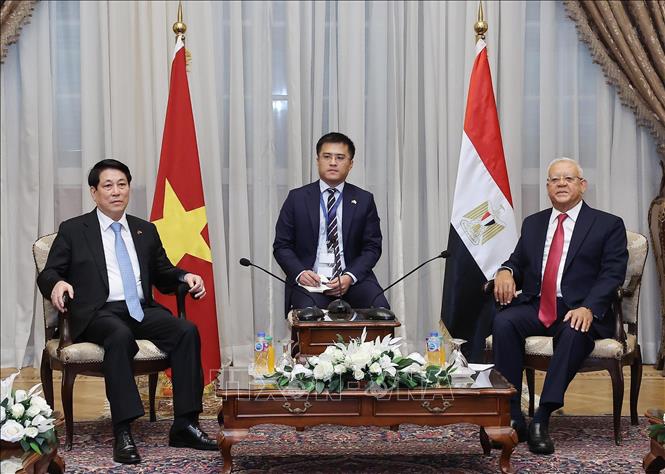 Chủ tịch nước Lương Cường hội kiến Chủ tịch Hạ viện Ai Cập Hanafy El-Gebaly. Ảnh: Lâm Khánh - TTXVN 