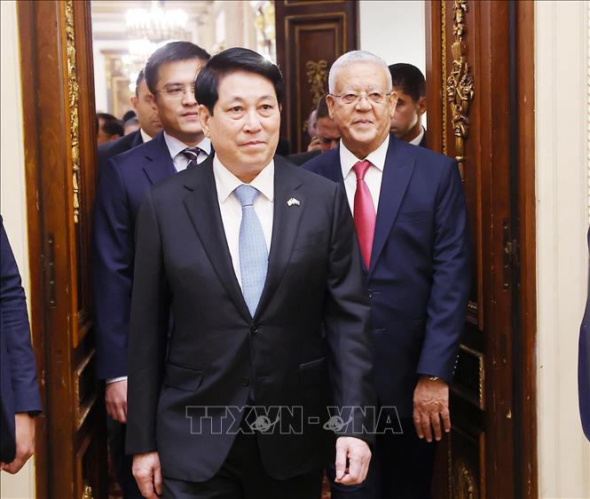 Chủ tịch nước Lương Cường hội kiến Chủ tịch Hạ viện Ai Cập Hanafy El-Gebaly. Ảnh: Lâm Khánh - TTXVN 