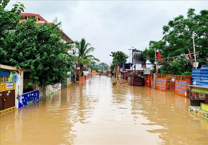 Ngập lụt tại Varanasi, Ấn Độ ngày 4/8/2025. Ảnh: ANI/TTXVN