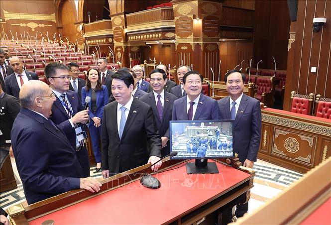 Chủ tịch Thượng viện Ai Cập Abdel-Wahab Abdel-Razeq giới thiệu với Chủ tịch nước Lương Cường về trụ sở Thượng viện Ai Cập. Ảnh: Lâm Khánh - TTXVN 