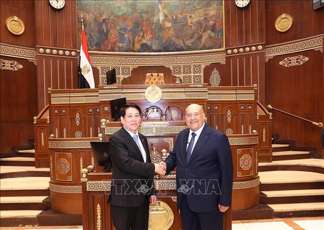 Chủ tịch nước Lương Cường và Chủ tịch Thượng viện Ai Cập Abdel-Wahab Abdel-Razeq tại Trụ sở Thượng viện Ai Cập. Ảnh: Lâm Khánh - TTXVN 