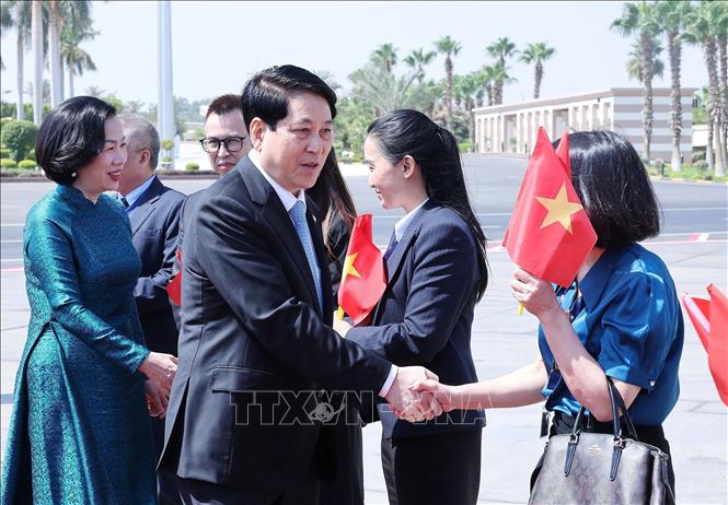 Lễ tiễn Chủ tịch nước Lương Cường và Phu nhân tại sân bay quốc tế Cairo. Ảnh: Lâm Khánh - TTXVN