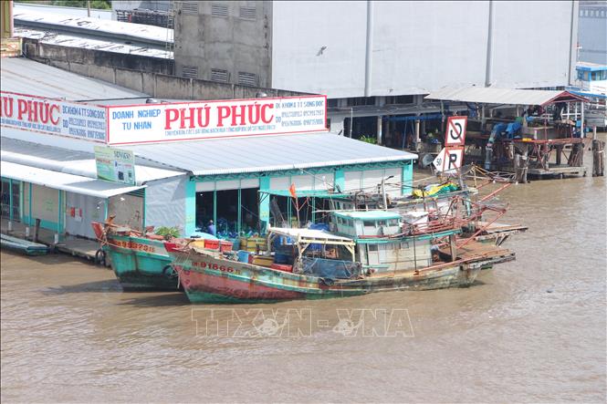 Với lượng tàu thuyền đông đúc và ngư trường rộng nên các dịch vụ hậu cần nghề cá tại Cà Mau luôn phát triển song hành. Ảnh: Chanh Đa-TTXVN