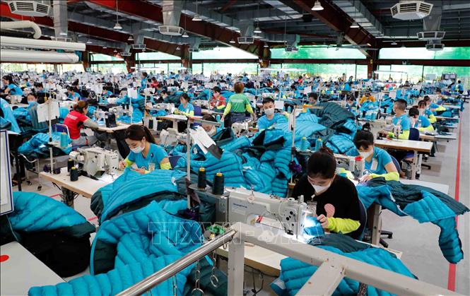 May hàng xuất khẩu sang thị trường Mỹ, EU, Hàn Quốc tại Công ty may Maxport Thái Bình. Ảnh: Trần Việt - TTXVN