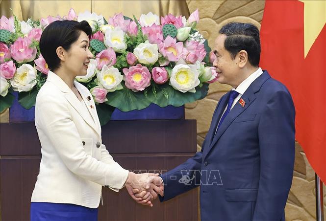 Chủ tịch Quốc hội Trần Thanh Mẫn tiếp bà Obuchi Yuko, Hạ nghị sĩ, Chủ tịch Liên minh Nghị sĩ hữu nghị Nhật Bản - Việt Nam. Ảnh: Doãn Tấn - TTXVN