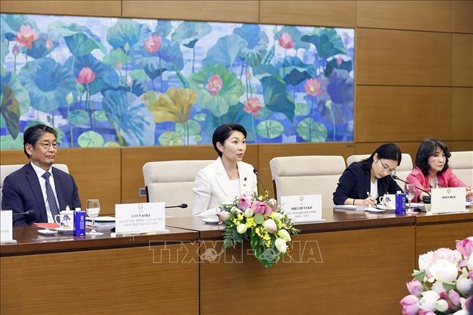 Bà Obuchi Yuko, Hạ nghị sĩ, Chủ tịch Liên minh Nghị sĩ hữu nghị Nhật Bản - Việt Nam phát biểu. Ảnh: Doãn Tấn - TTXVN