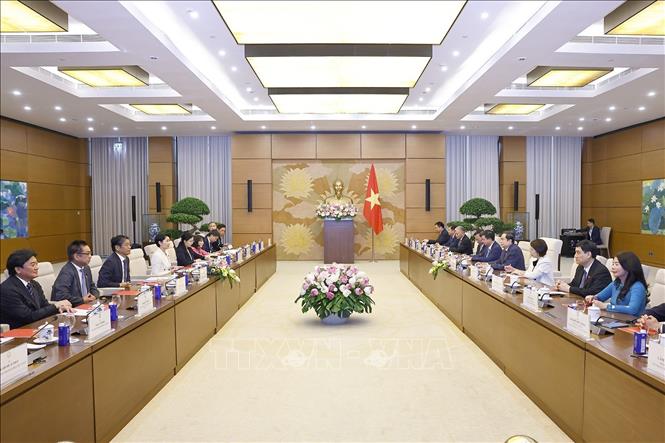 Chủ tịch Quốc hội Trần Thanh Mẫn tiếp bà Obuchi Yuko, Hạ nghị sĩ, Chủ tịch Liên minh Nghị sĩ hữu nghị Nhật Bản - Việt Nam. Ảnh: Doãn Tấn - TTXVN