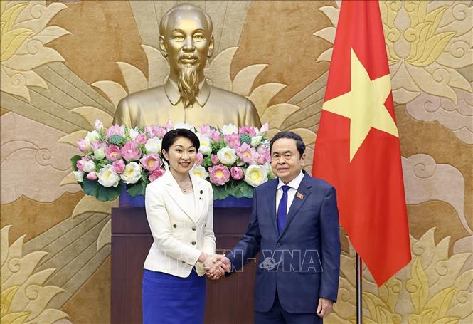 Chủ tịch Quốc hội Trần Thanh Mẫn tiếp bà Obuchi Yuko, Hạ nghị sĩ, Chủ tịch Liên minh Nghị sĩ hữu nghị Nhật Bản - Việt Nam. Ảnh: Doãn Tấn - TTXVN