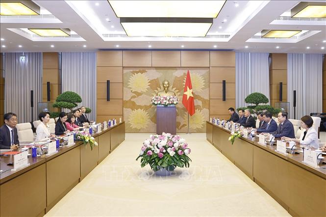 Chủ tịch Quốc hội Trần Thanh Mẫn tiếp bà Obuchi Yuko, Hạ nghị sĩ, Chủ tịch Liên minh Nghị sĩ hữu nghị Nhật Bản - Việt Nam. Ảnh: Doãn Tấn - TTXVN