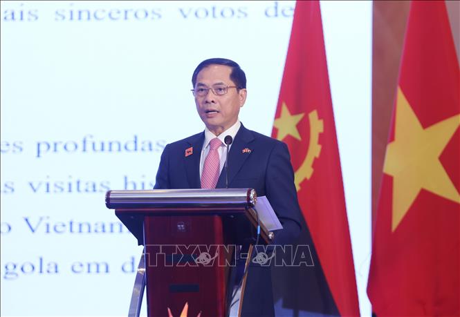 Deputy Prime Minister and Foreign Minister Bui Thanh Son addresses the event. VNA Photo: Lâm Khánh