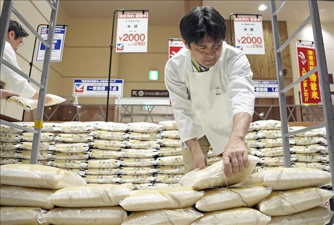 Ngày 5/8/2025, Thủ tướng Nhật Bản Shigeru Ishiba công bố bước chuyển lớn trong chính sách lúa gạo: từ hạn chế sản lượng sang thúc đẩy gia tăng sản lượng, nhằm ứng phó với tình trạng thiếu hụt nguồn cung và giá cả tăng cao. Ảnh: Gạo được bày bán tại siêu thị ở Tokyo, Nhật Bản. Kyodo/TTXVN