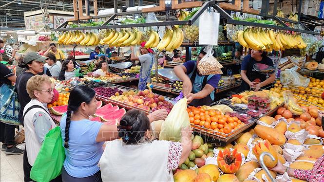 Một quầy bán rau củ trong chợ dân sinh Medellin tại thủ đô Mexico City, Mexico. Ảnh: Phi Hùng - PV TTXVN tại Mexico