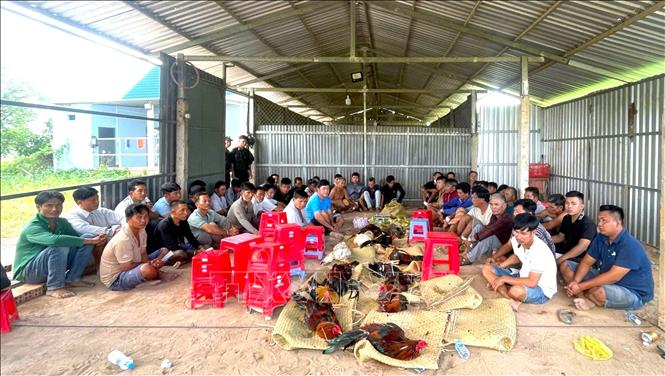 Người đánh bạc, tổ chức đánh bạc, cùng tang vật bị bắt quả tang tại hiện trường. Ảnh: TTXVN phátt