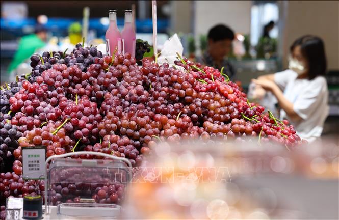 Khách hàng lựa chọn mua hoa quả trong siêu thị tại Thạch Gia Trang, tỉnh Hà Bắc, Trung Quốc, ngày 9/7/2025. Ảnh: THX/TTXVN