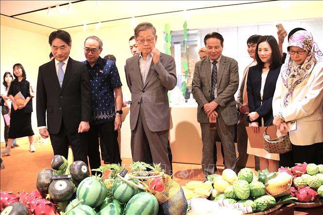 Khách mời tham quan triển lãm đầu tiên tại ASEAN Hall Seoul. Ảnh: Khánh Vân - PV TTXVN tại Hàn Quốc
